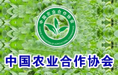 �r(n��ng)�I(y��)�����f(xi��)��