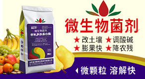 ɽ�|�����������＼�g(sh��)���޹�˾