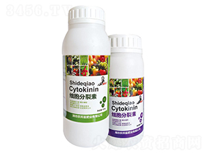 ����������-�r(n��ng)� 