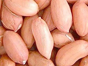 ����1̖-�����N��-���S�r(n��ng)�I(y��)