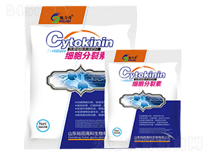 ���������أ�����-ԣ��߿����� 