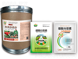 ����������-��(zh��n)܇ 