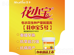 ��С��5̖-�����N��-ʥ�S�N�I(y��)