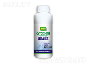 ����������-������� 