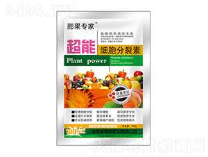 ���ܼ���������-�Z���� 