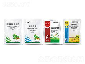 �����󶹳��ݽM��-�������r(n��ng)