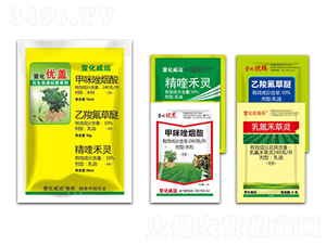 ��������ͨ���ͳ��݄�-�滯��(y��u)�w-�滯���h