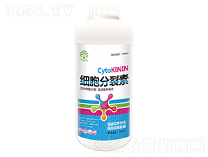 ����������-������-�r(n��ng)ʥ�� 