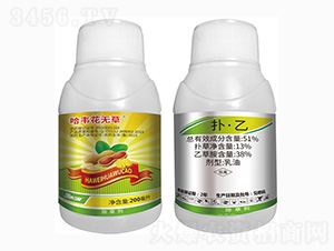 51%�䡤��-���f���o��-���r(n��ng)��