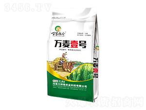 С���N��-�f(w��n)��Ҽ̖(h��o)-�f(w��n)��(d��n)�Z