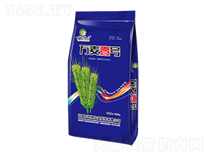 �f(w��n)��Ҽ̖(h��o)-С���N��-�f(w��n)��(d��n)�Z