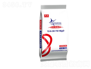 �~(y��)������ø����Ԫ��ˮ�ܷ�12-6-38+TE+MgO-�f(w��n)���~(y��)-�R�S�r(n��ng)�I(y��)