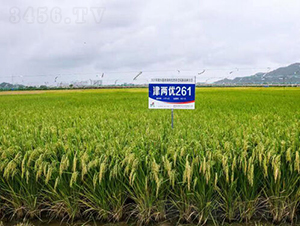 ��Ƀ�(y��u)261-ˮ���N��-�𽡷N�I(y��)