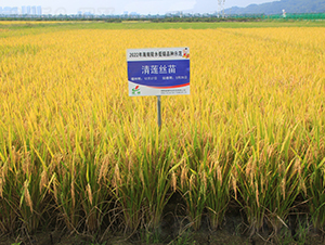 ��ɏ�z��-ˮ���N��-�𽡷N�I(y��)