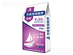 �����������-����-������