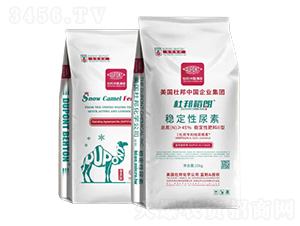 ��(w��n)��������-�Ű��-�Ű�