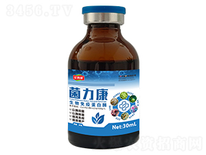 �������������ߵ���ø-�|ķ��